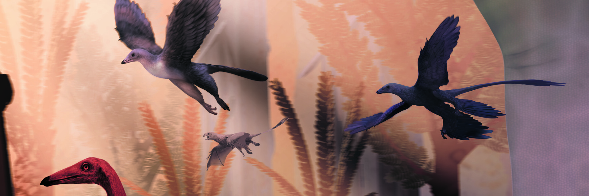 ArtStation banner for @wings