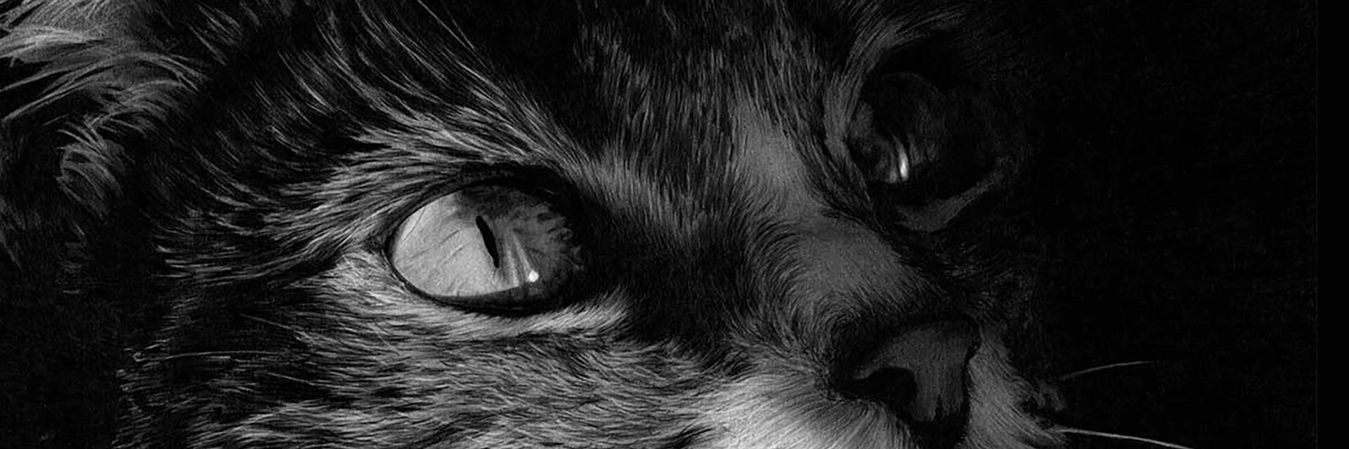 Sophie Lawson - Blog