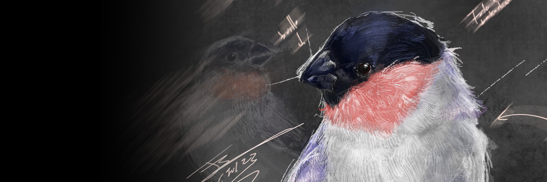 ArtStation banner for @ose