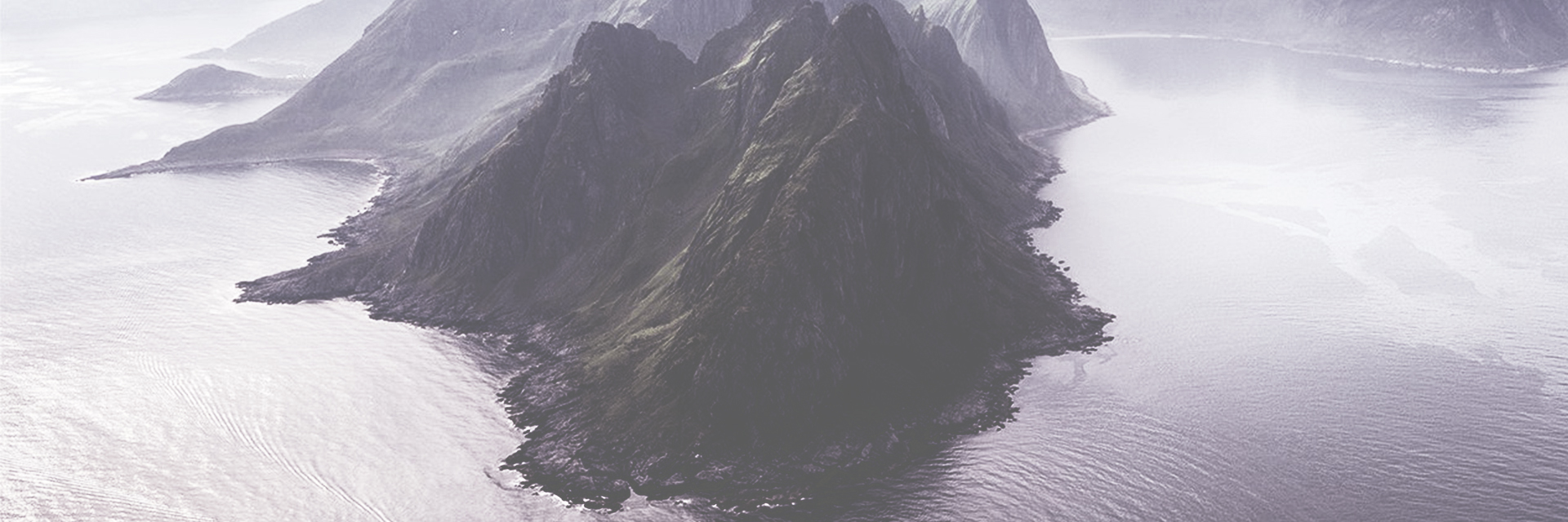 ArtStation banner for @tribe