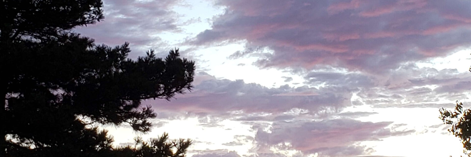 ArtStation Nick Bassett