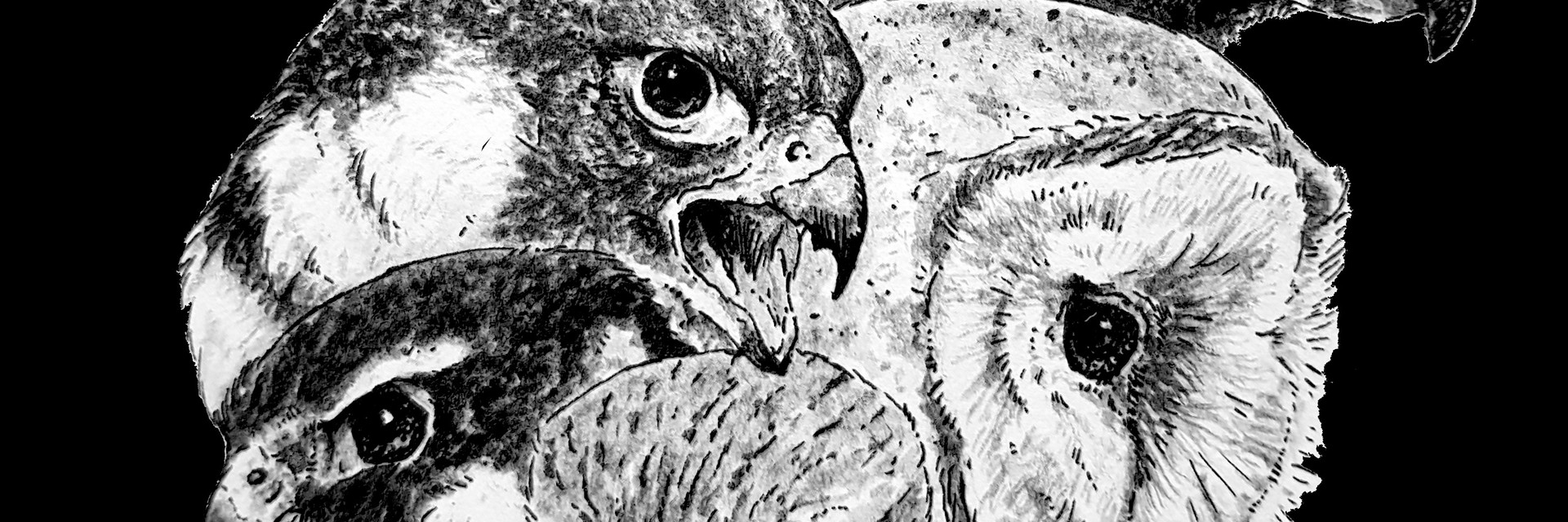 ArtStation - Emily Mortimer