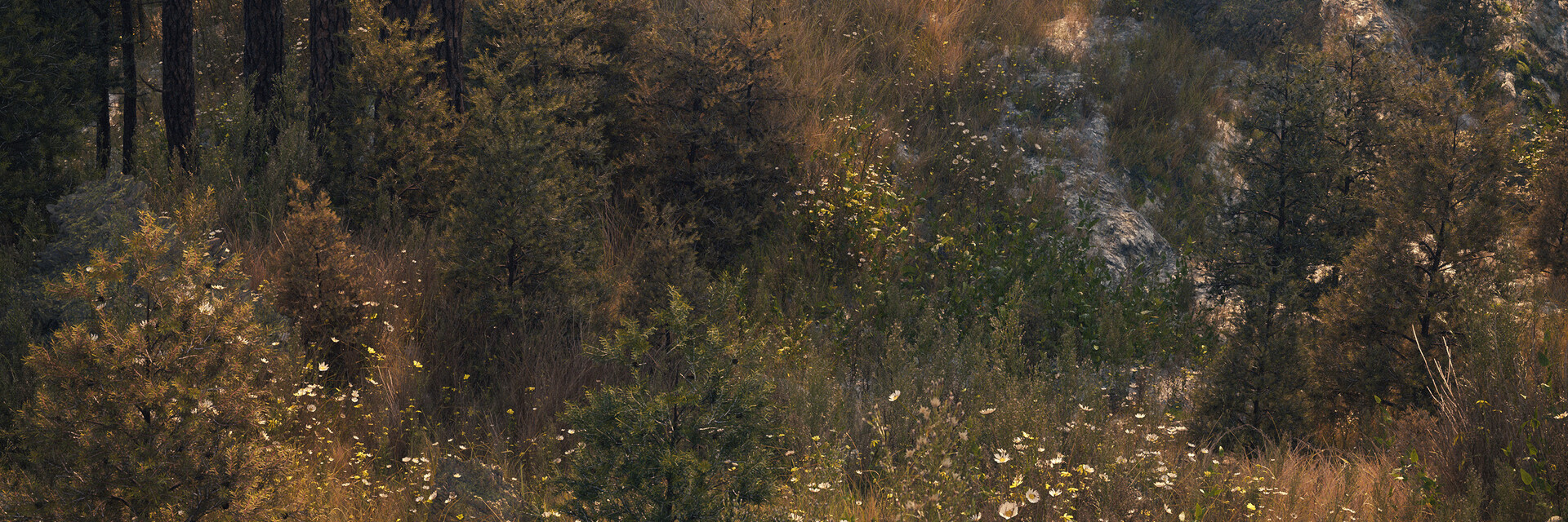 ArtStation banner for @gavmakes