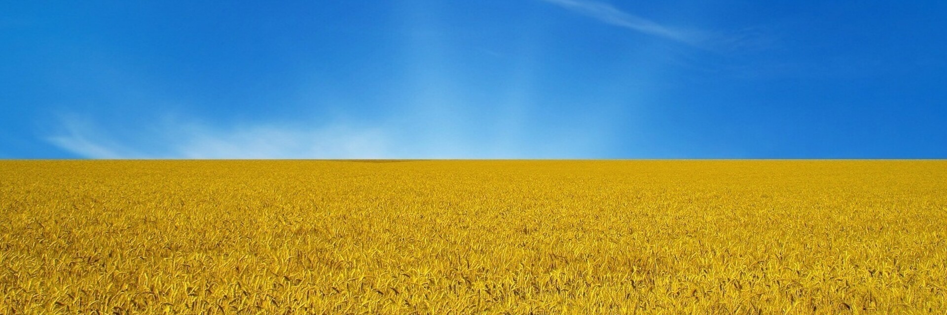 Поле и небо Украина