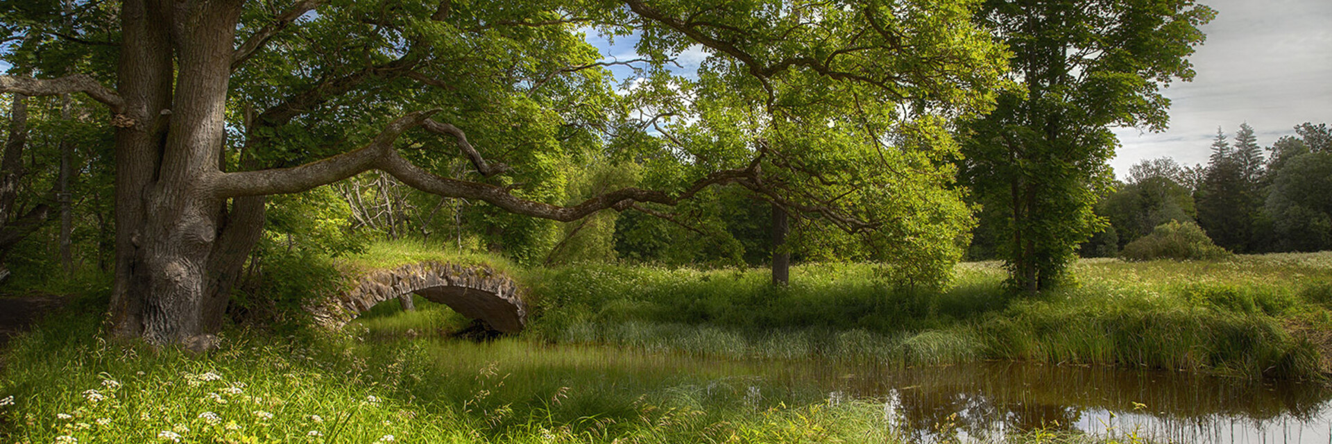 ArtStation - Дмитрий Дорофеев