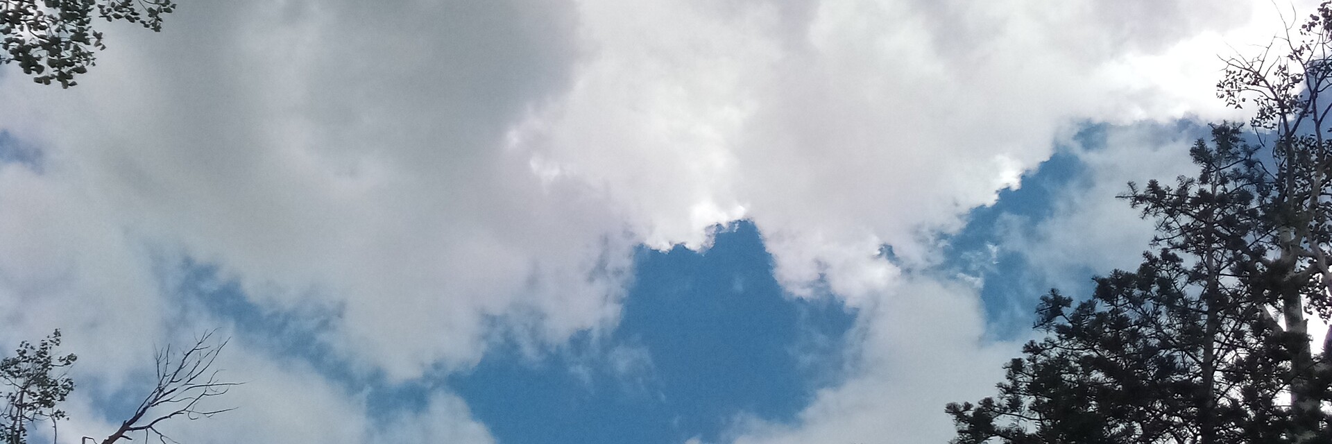 ArtStation Virginia Price